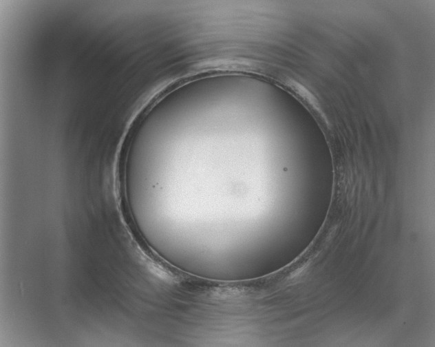 X0000074931082200609151933