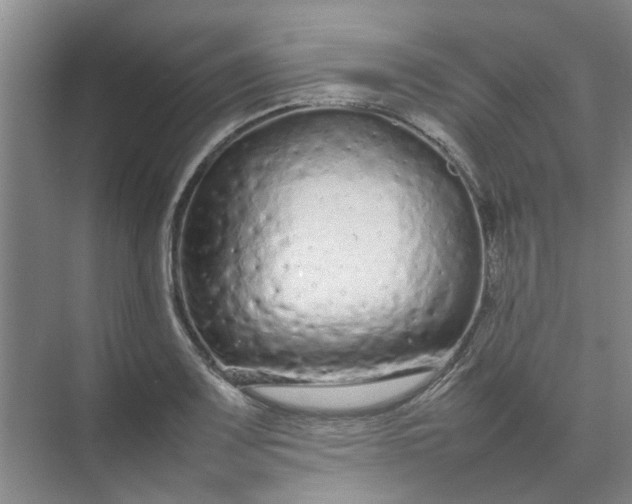 X0000074931083200609151932