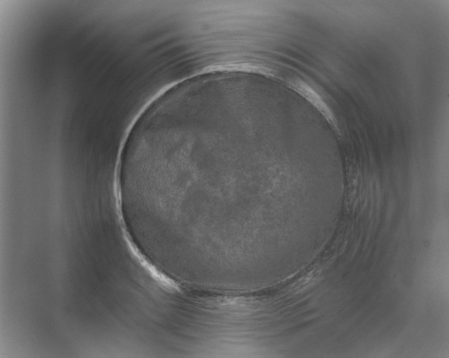 X0000074931084200609151932