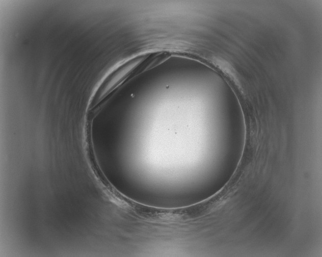 X0000074931085200609151932