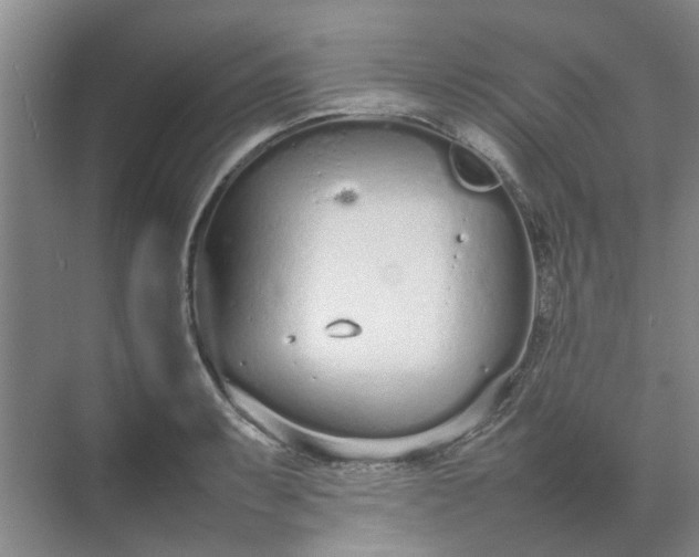 X0000074931087200609151932