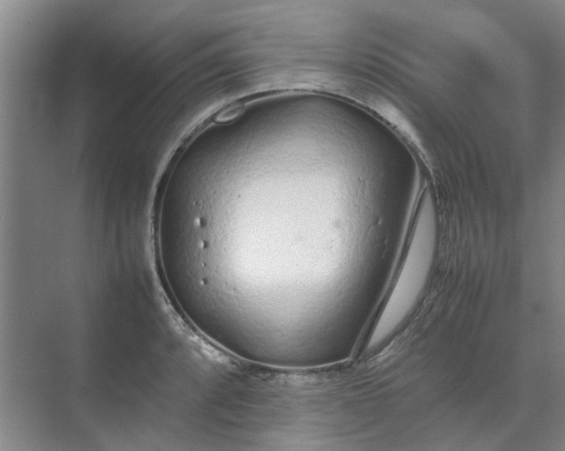 X0000074931088200609151932