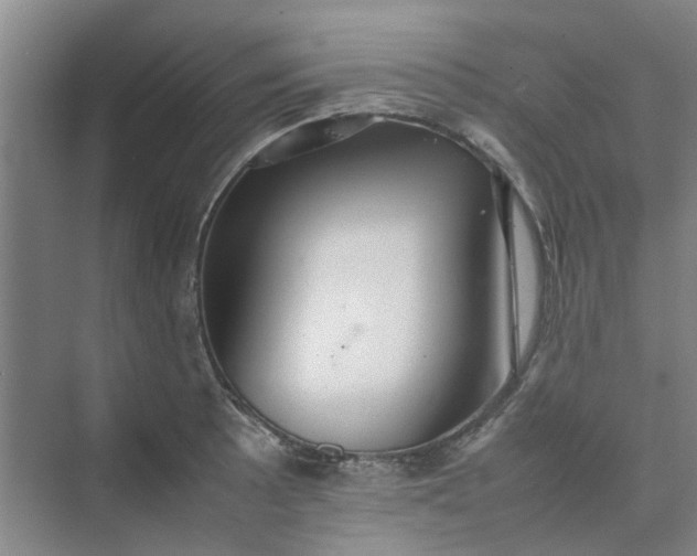 X0000074931089200609151932