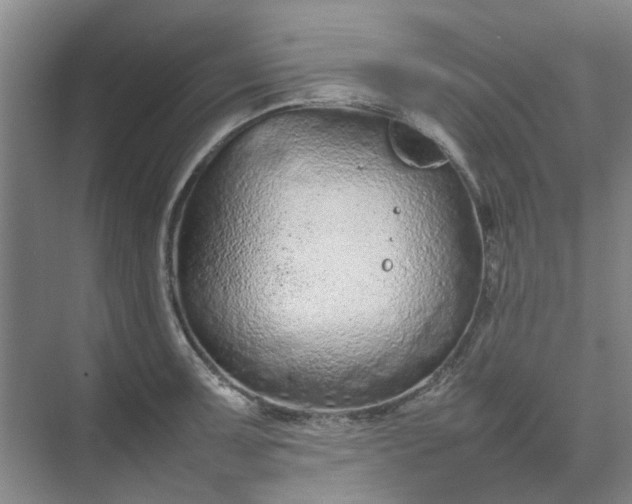 X0000074931091200609151932