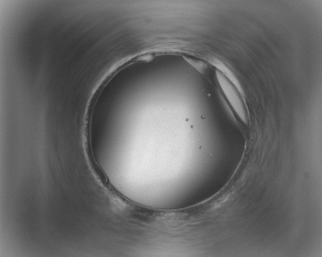 X0000074931093200609151932