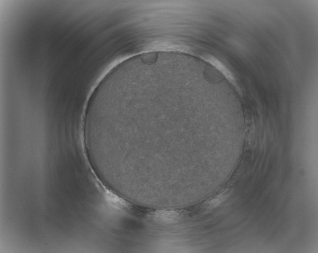 X0000074931094200609151932