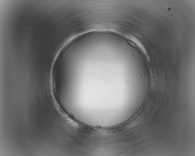 X0000074931096200609151932