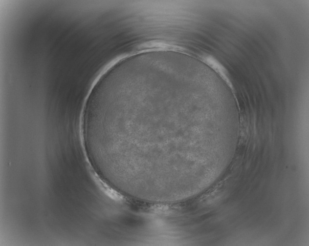 X0000074931098200609151932