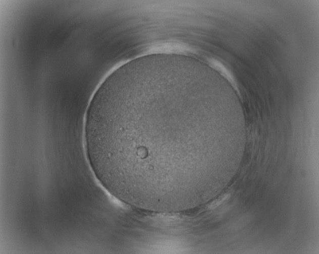 X0000074931103200609151932