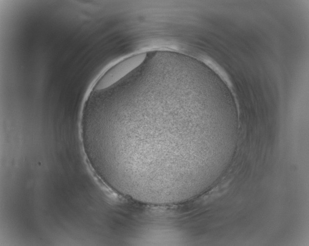 X0000074931104200609151932