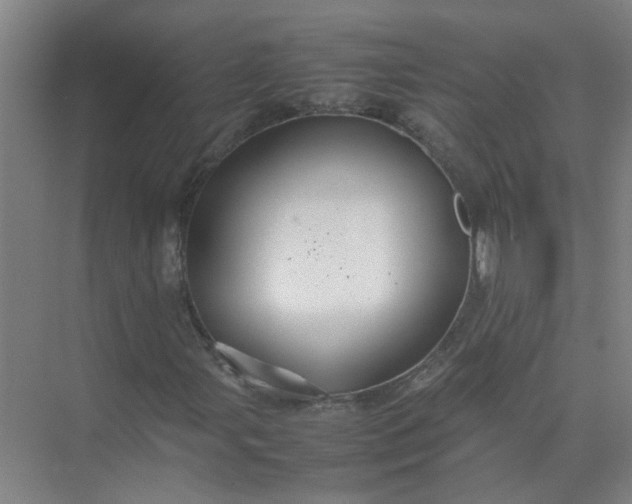 X0000074931107200609151931