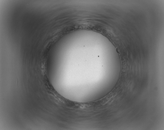 X0000074931109200609151931