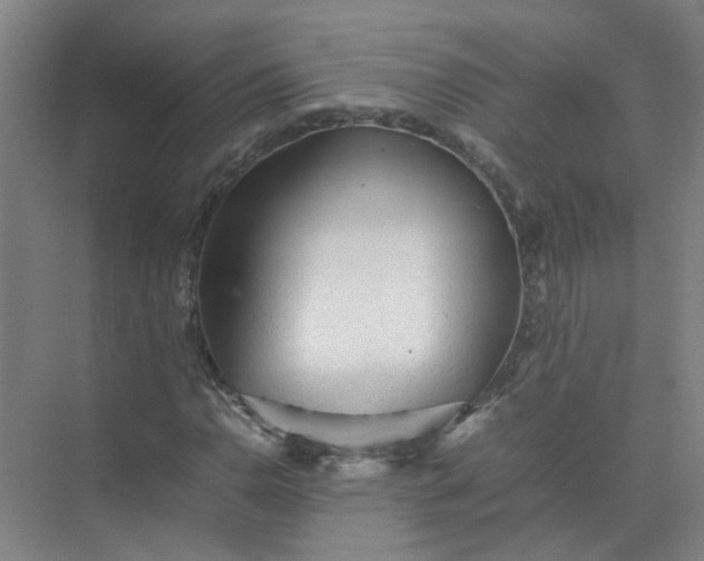 X0000074931110200609151931