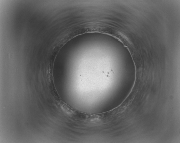 X0000074931111200609151931