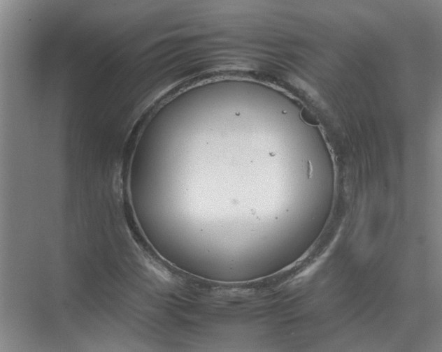 X0000074931113200609151931