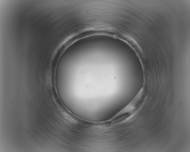 X0000074931114200609151931