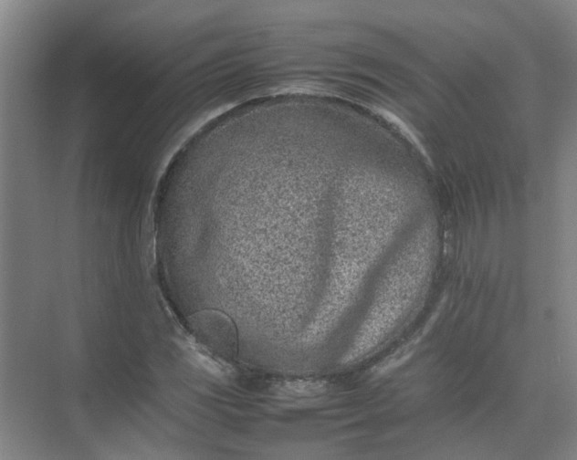 X0000074931117200609151932