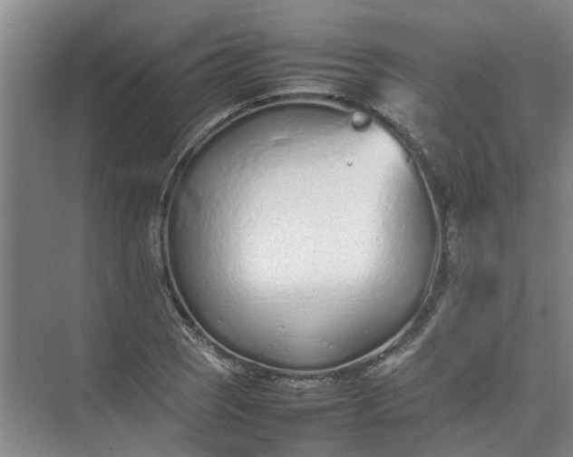 X0000074931121200609151932