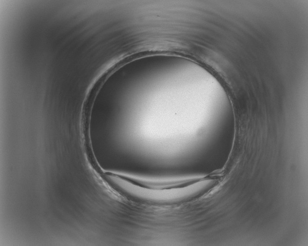 X0000074931122200609151932