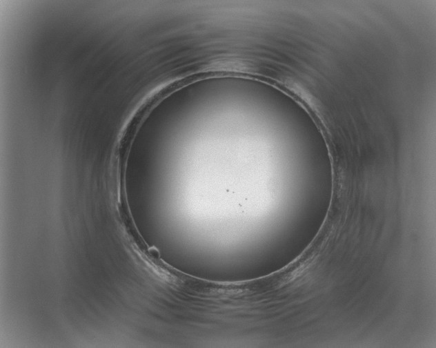 X0000074931123200609151932