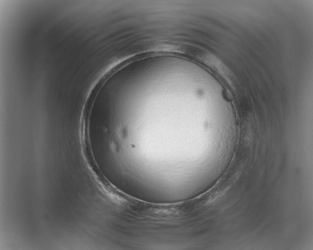 X0000074931125200609151932