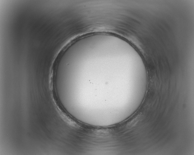 X0000074931126200609151932