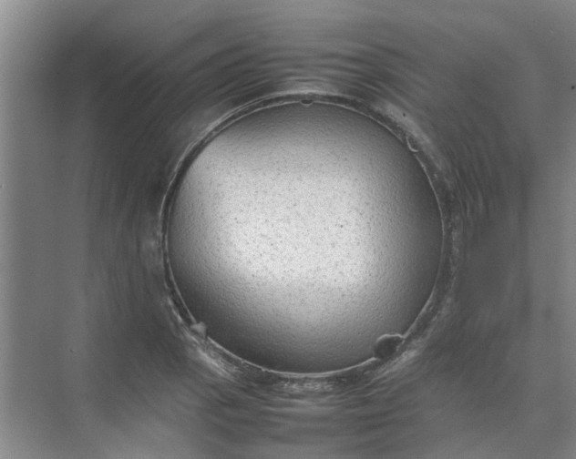 X0000074931129200609151932