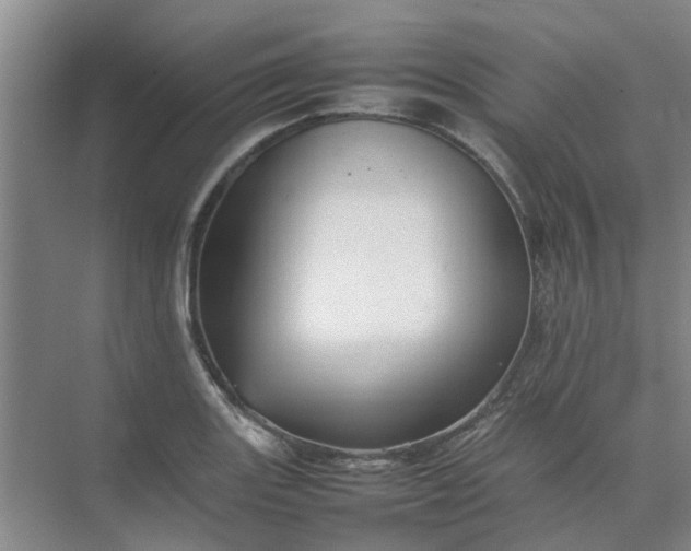 X0000074931131200609151932