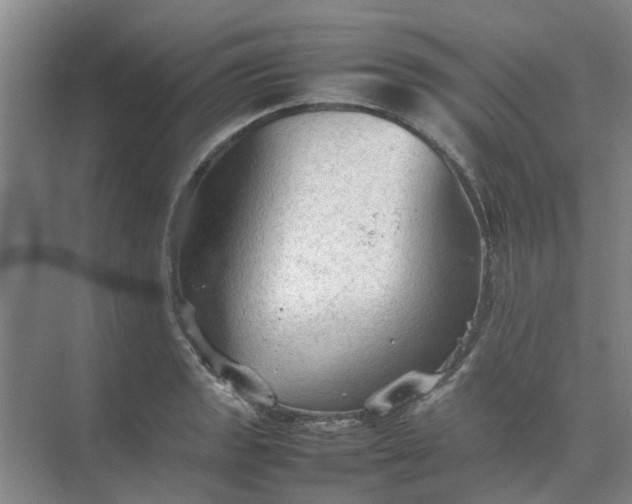 X0000074931133200609151932