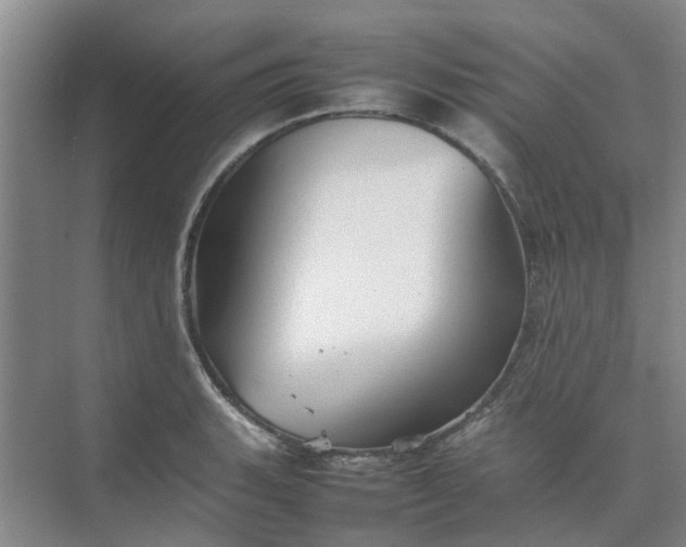 X0000074931135200609151932