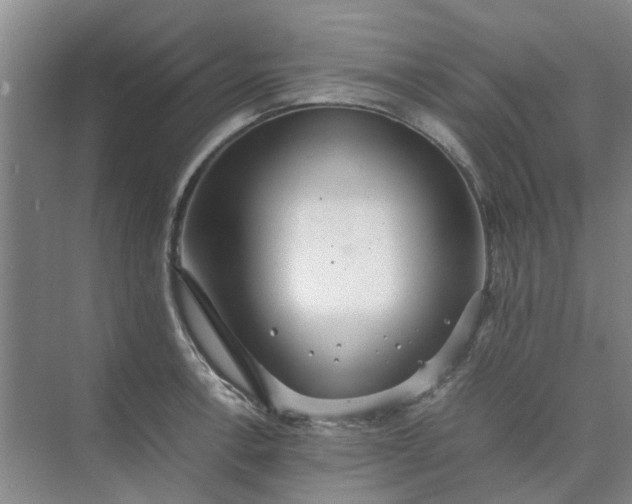 X0000074931138200609151932