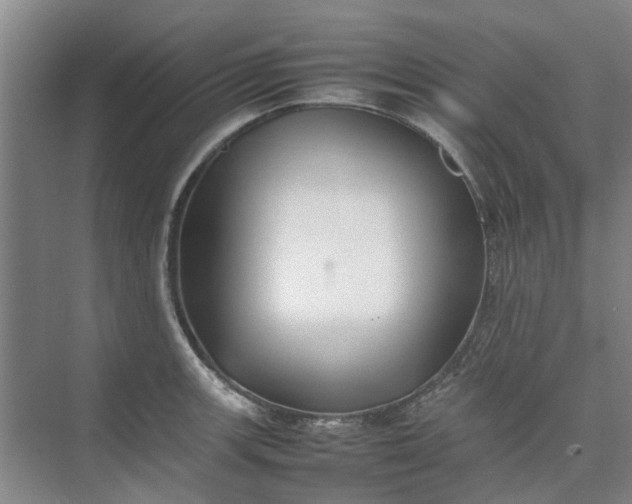 X0000074931139200609151932