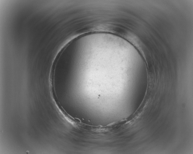 X0000074931141200609151932