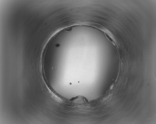 X0000074931143200609151932