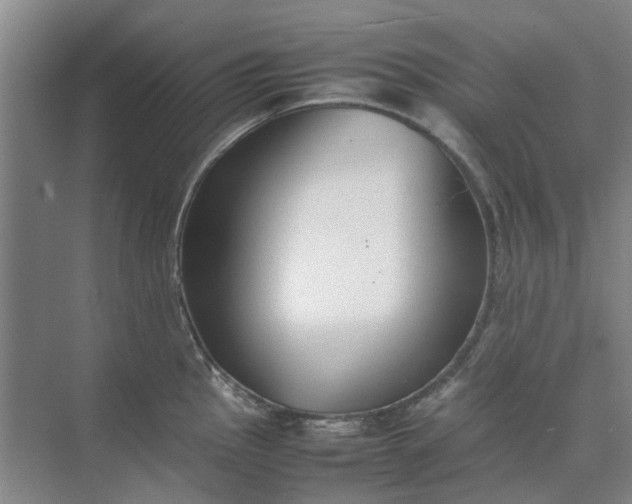 X0000074931145200609151932