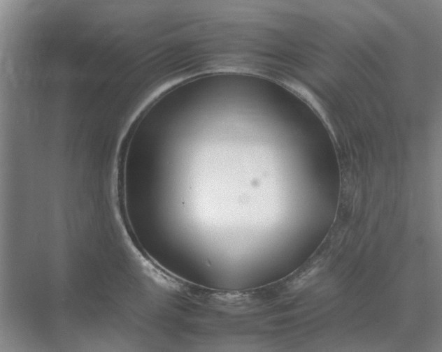 X0000074931147200609151932