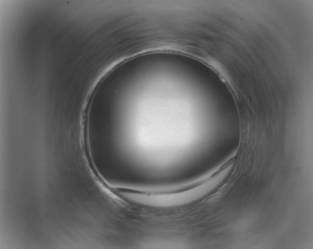 X0000074931151200609151932