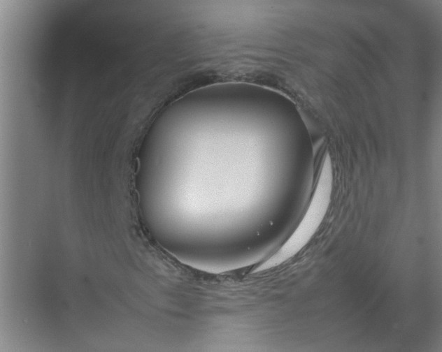 X0000074931153200609151931