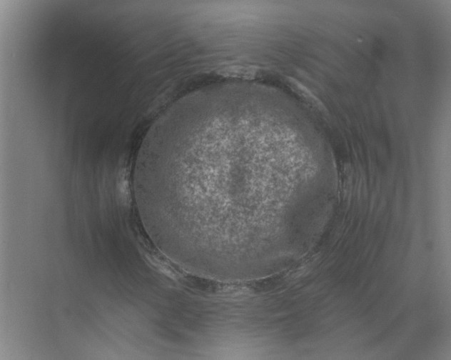 X0000074931154200609151931