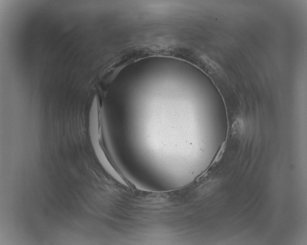 X0000074931156200609151931