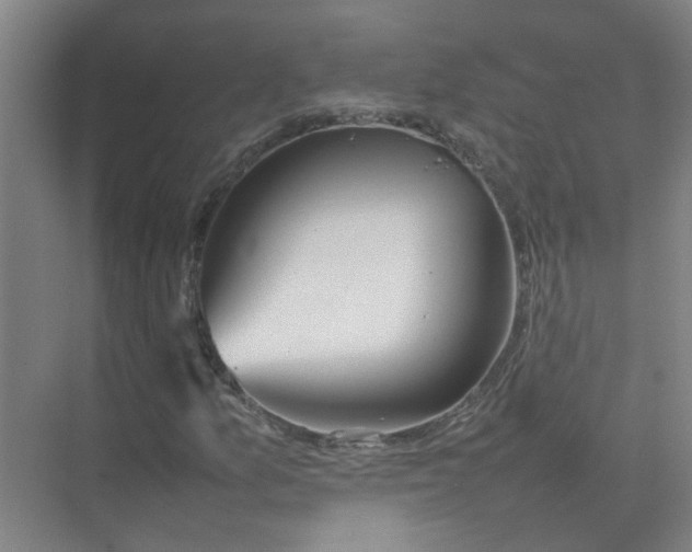 X0000074931157200609151931