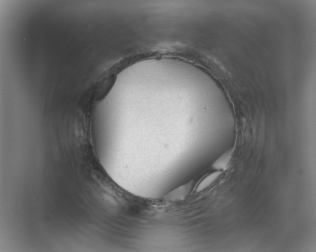 X0000074931158200609151931