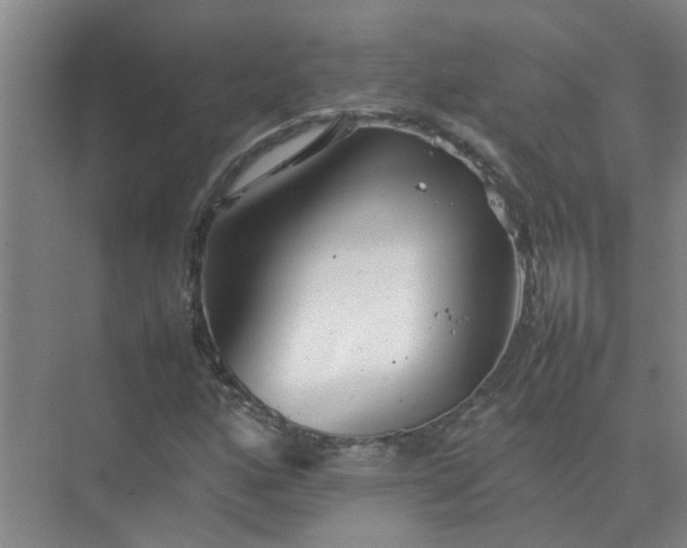 X0000074931160200609151931