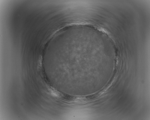 X0000074931161200609151931