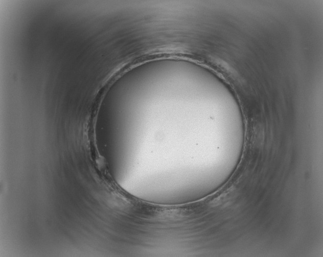 X0000074931162200609151931