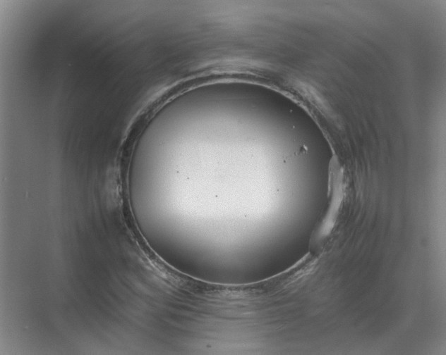 X0000074931164200609151931