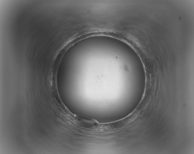 X0000074931165200609151931