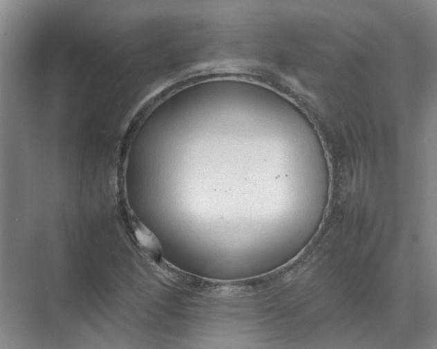 X0000074931166200609151931