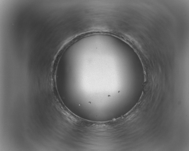 X0000074931168200609151931