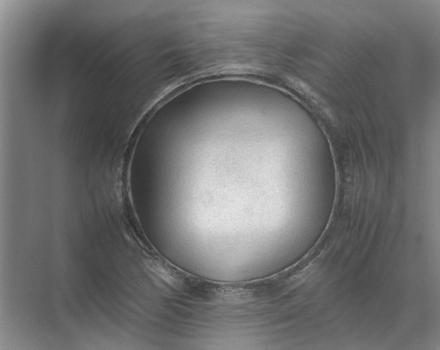 X0000074931170200609151931